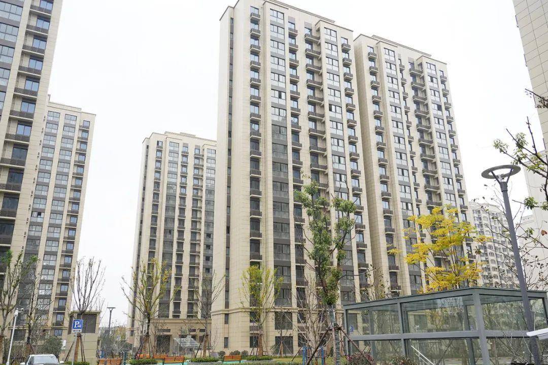 华新镇农民相对集中居住项目选房啦!_市民_工作_进行