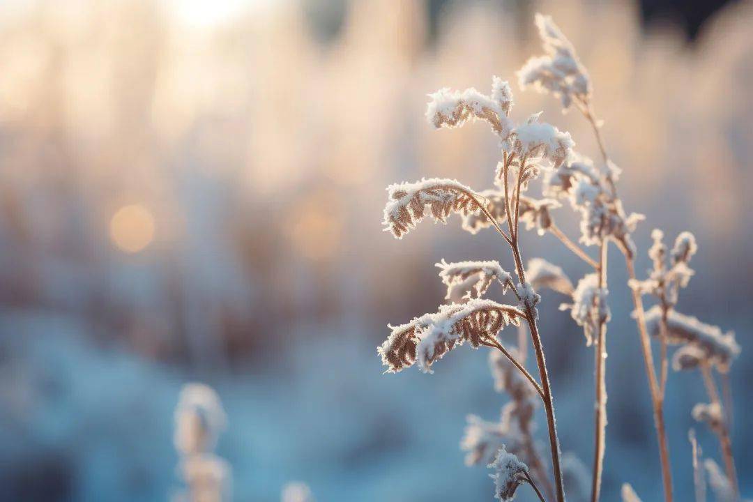 冬天,那些溫暖人心的時刻_風雪_時候_生活