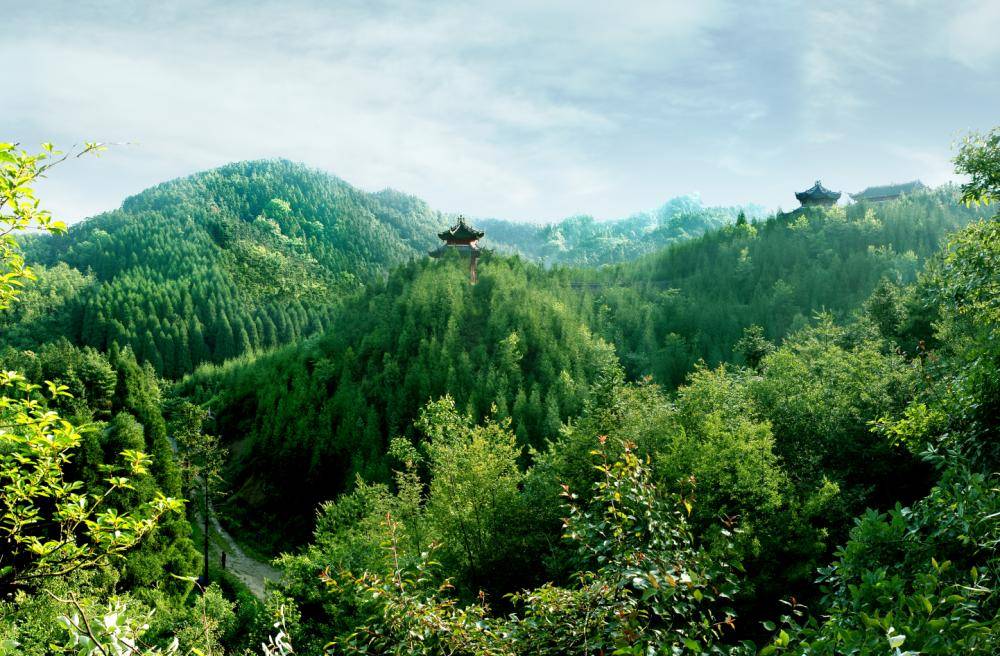 安逸四川 清凉广元|三伏天避暑洗肺之地,邂逅绝美森林秘境_三溪口