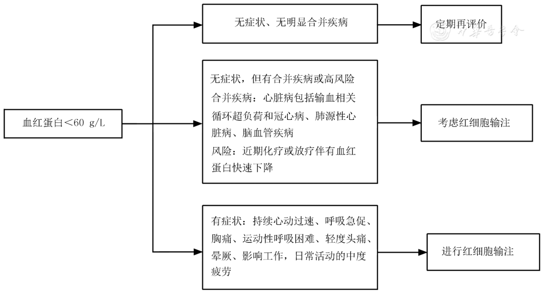 中國腫瘤相關貧血診治「專家共識」(2023版)_治療_發生率_患者