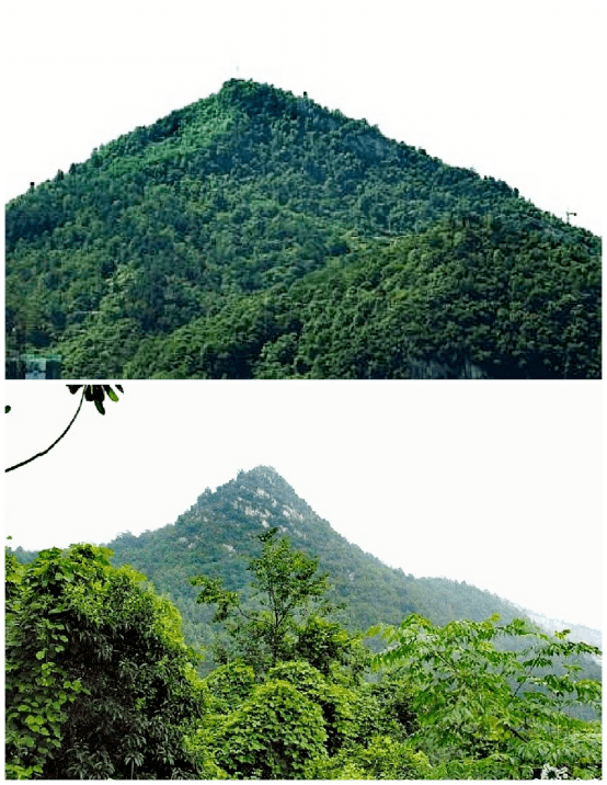 翻閱歷史我發現……_貴州_宋太祖_地名