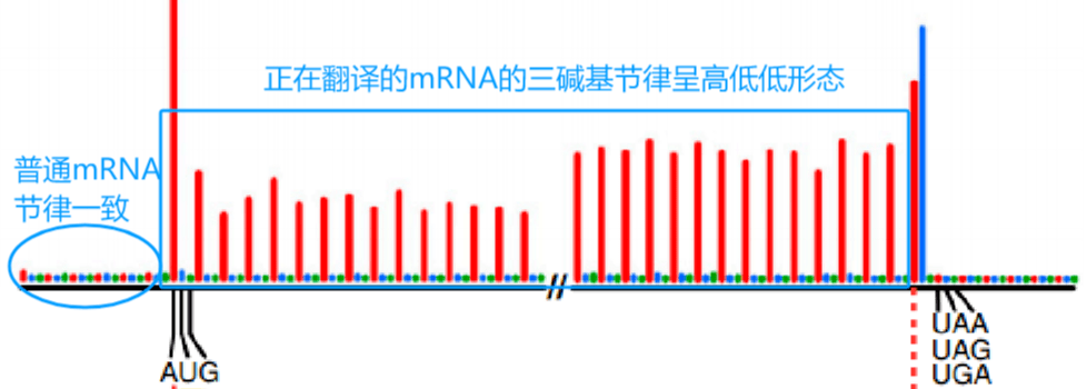 手把手教你發翻譯組的醫學文章_調控_分析_研究