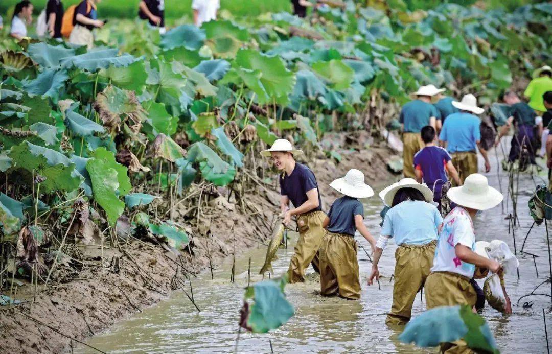 江夏一大波精彩活動來襲_年貨_年味_未來