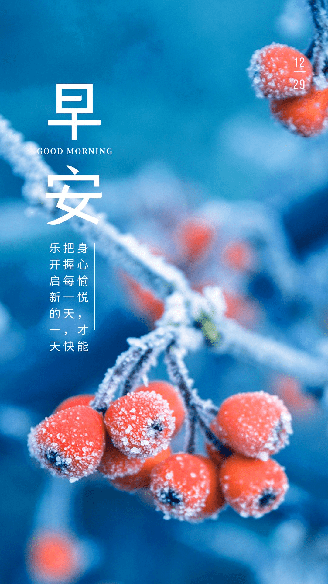 早安12月图片心语图片