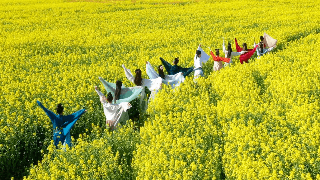 六安南山南夢享村,懷寧觀音湖望春花,宣城郎溪姚村鎮三大項目齊開工