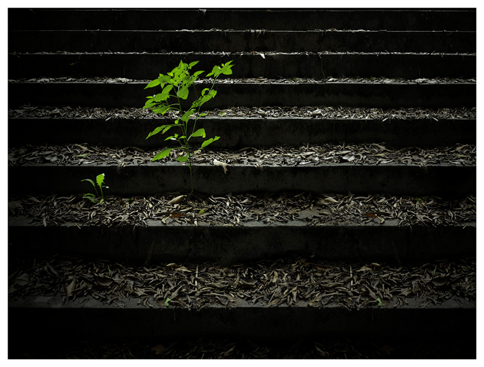 "走进艺术"摄影公益慕课:《照片的主次关系》_画面_主体_顺德区