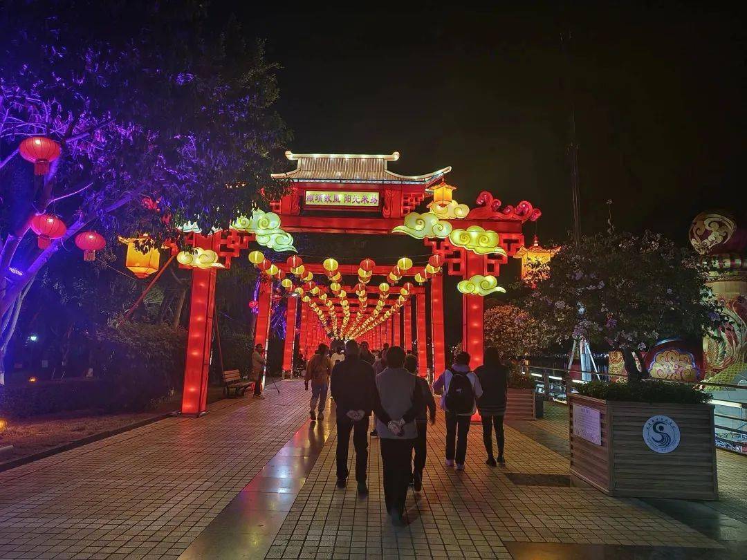 米易灯会1月中旬正式亮灯→_年味_灯组_布展