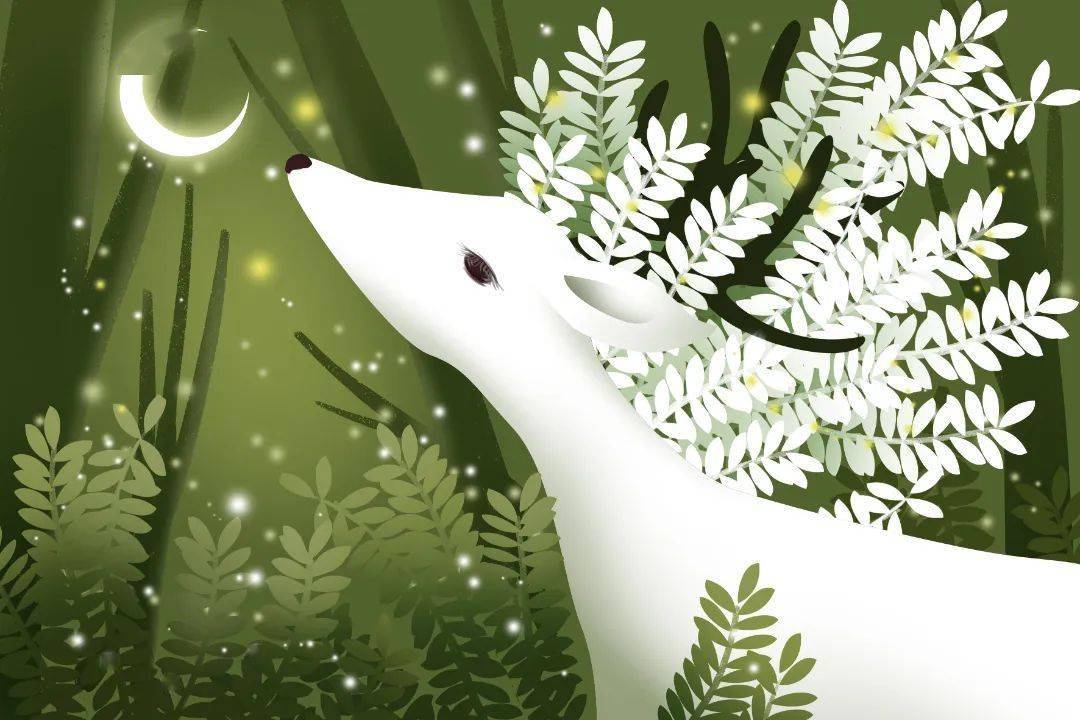 在平行世界里拯救白鹿 | 南浦朝云:《我与白鹿的契约》_申山_猿猴