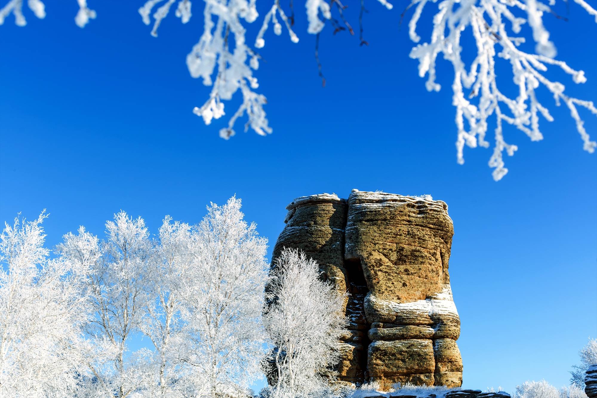 草原冬天雪景描述图片