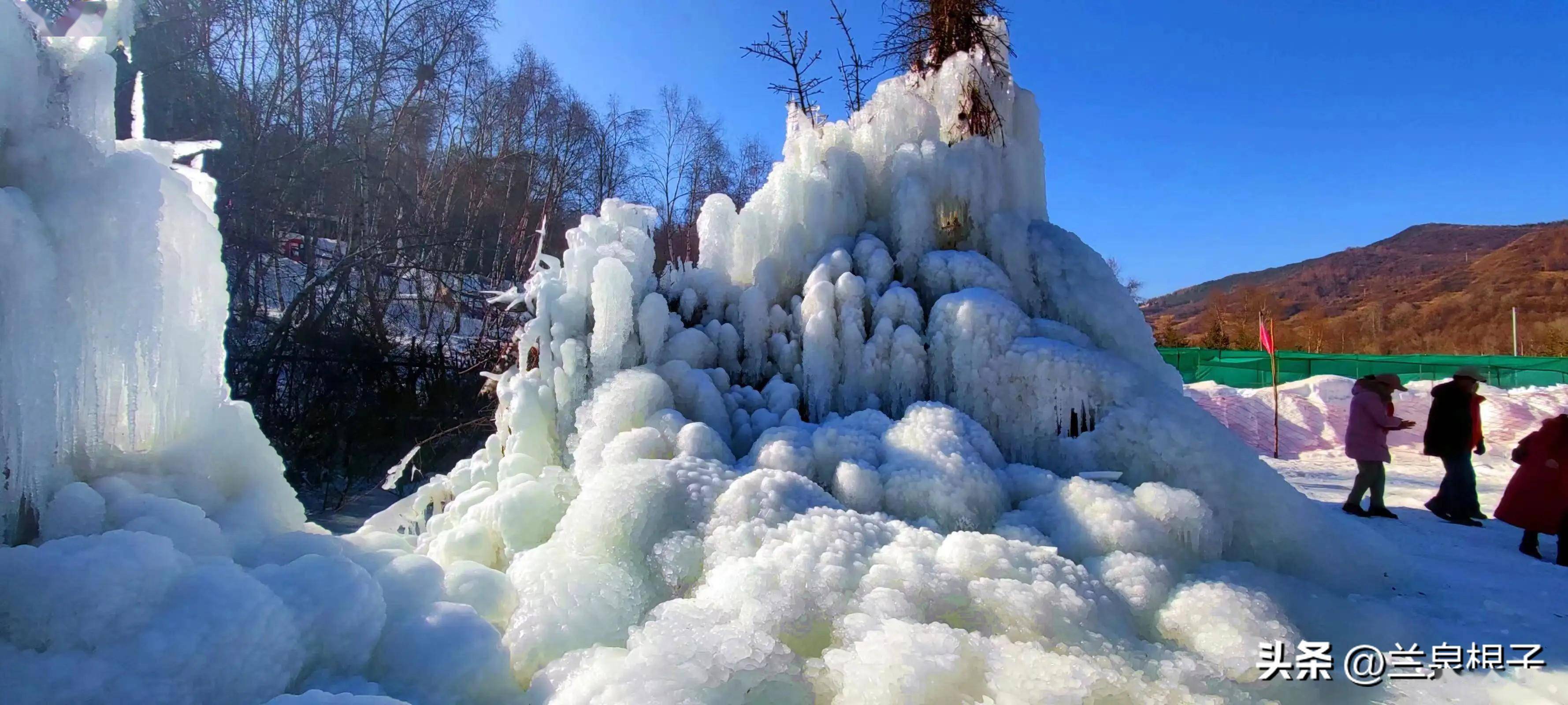 冬日的康乐白桦林景区,接纳着不少寻梦的人.